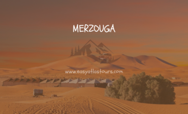 merzouga trip