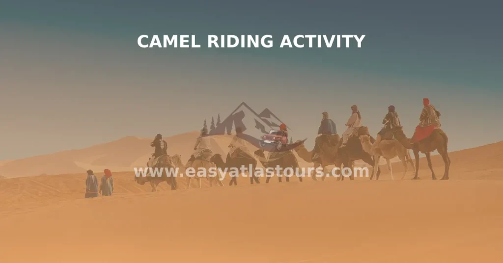 Camel riding activity by easy atlas tours
