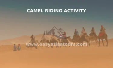 Camel riding activity by easy atlas tours