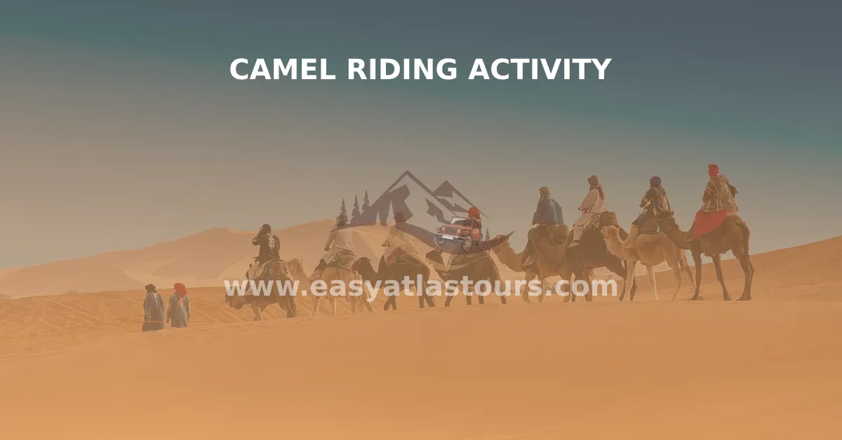 Camel Riding Activity In Morocco