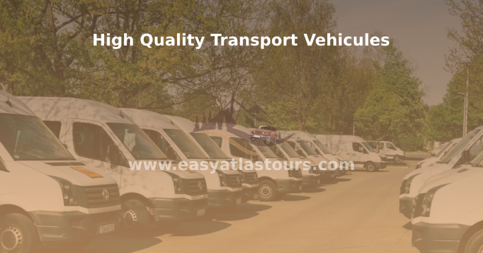 High Quality Transport Vehicles For Our Clients