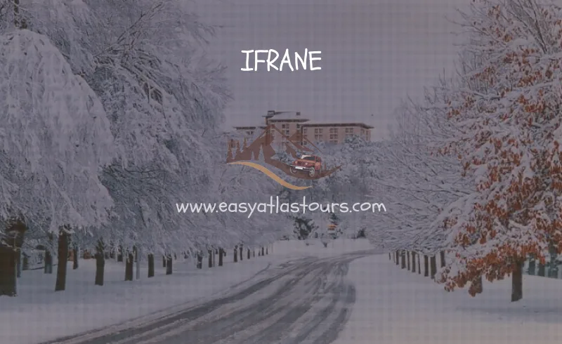 visit ifrane city