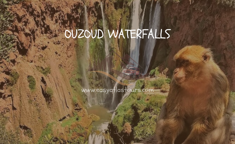 ouzoud trip