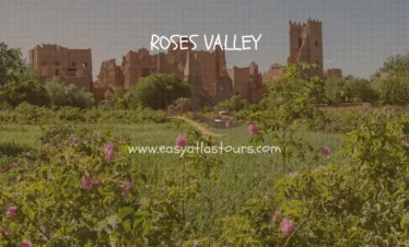 visit roses valley morocco