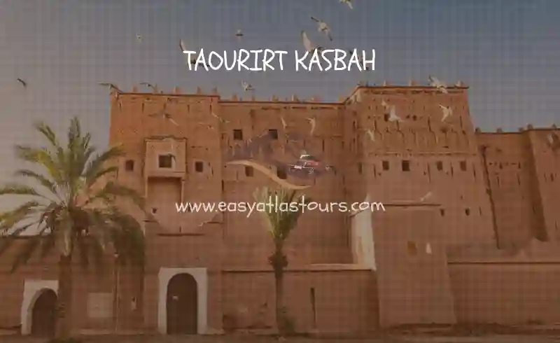 taourirt kasbah visit